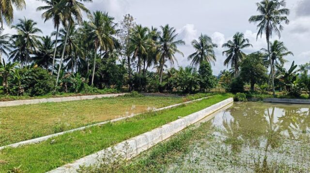 Ponoragan Perkuat Pertanian dan Perikanan Desa Loa Kulu