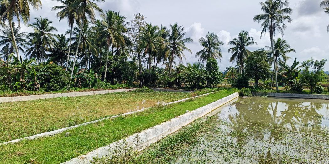 Ponoragan Perkuat Pertanian dan Perikanan Desa Loa Kulu