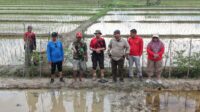 Desa di Tenggarong Aktif Wujudkan Lumbung Pangan