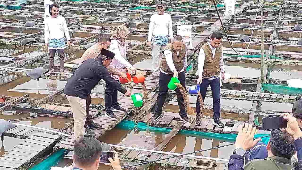 PLN dan Pemerintah Kukar Kolaborasi Ketahanan Pangan