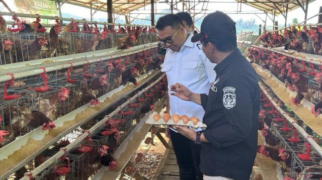 Desa Loa Duri Ilir Juara Ketiga Lomba Ketahanan Pangan Nasional