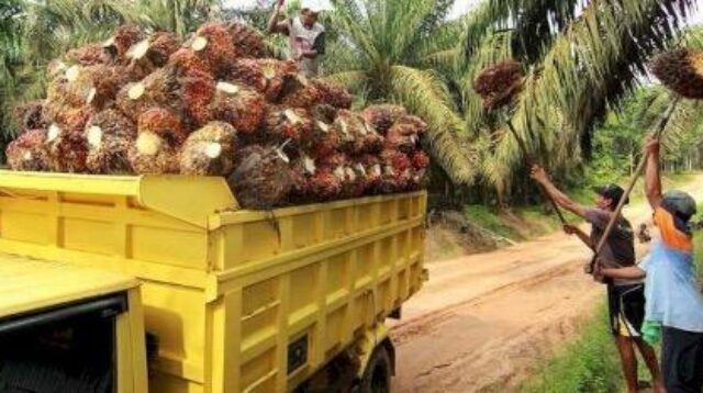 BUMDes Kahala Ilir Kembangkan Usaha LPG dan Angkutan Sawit