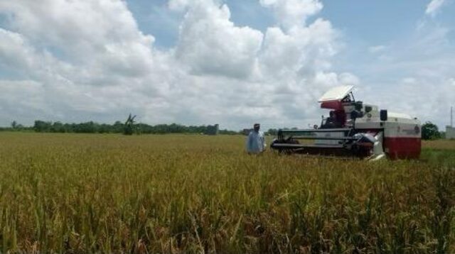 Desa Kahala Kembangkan Pertanian Modern Kemandirian Pangan