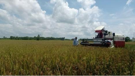 Desa Kahala Kembangkan Pertanian Modern Kemandirian Pangan